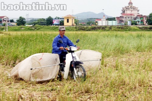Dùng xe máy vợt châu chấu, kiếm bạc triệu mỗi đêm