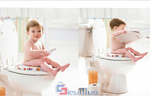 Lý do bạn nên đậy nắp bồn cầu khi xả nước