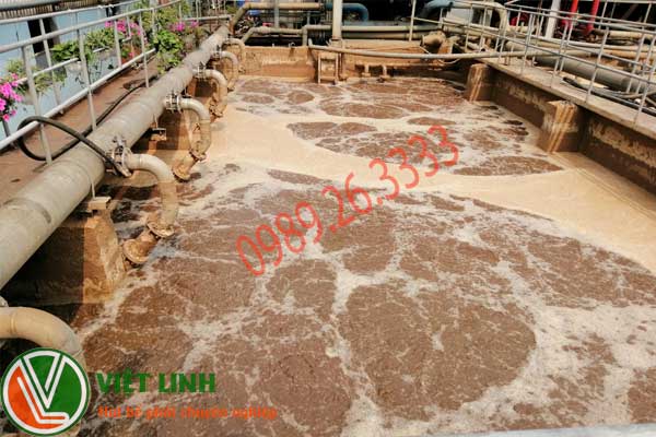 Hút bùn vi sinh tại hà nội