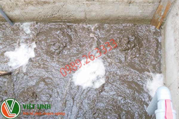 bùn vi sinh tại Thái Bình