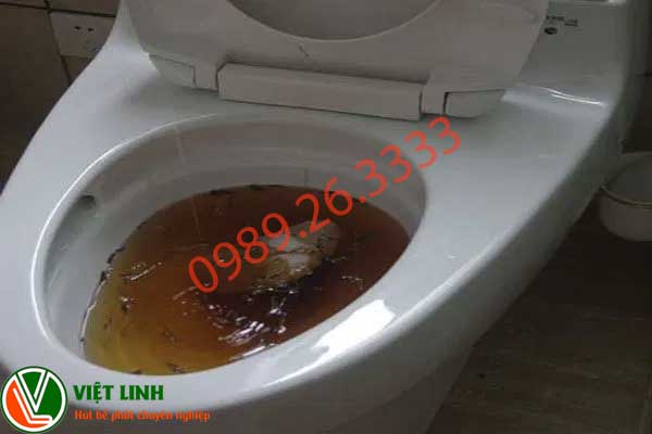 Dấu hiệu nhận biết đầy bể phốt