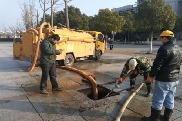 nhân viên làm việc chuyên nghiệp