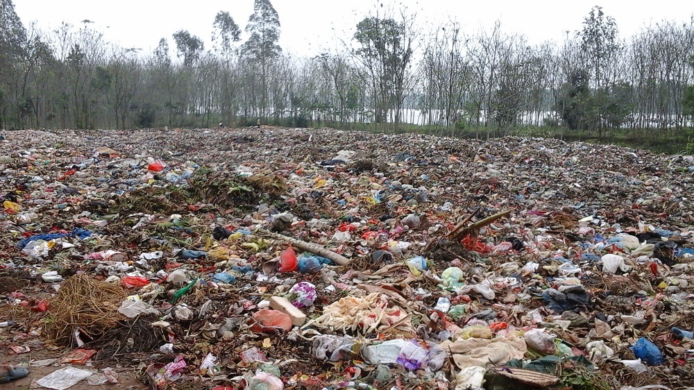 hậu quả ô nhiễm môi trường đất