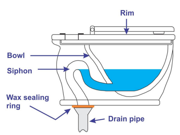 Cấu tạo của Siphon